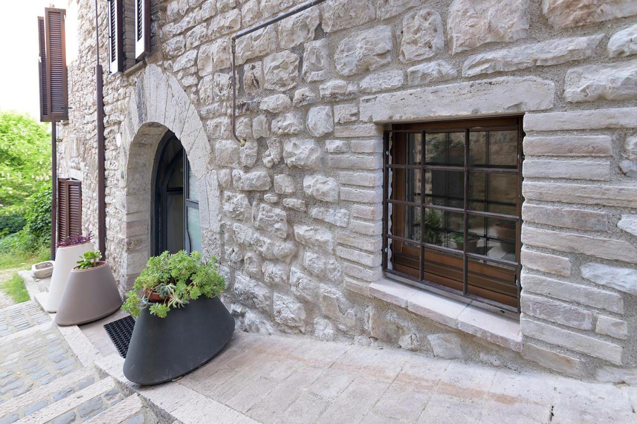 Perfetta Letizia Casa Vacanza Ασίζη Εξωτερικό φωτογραφία